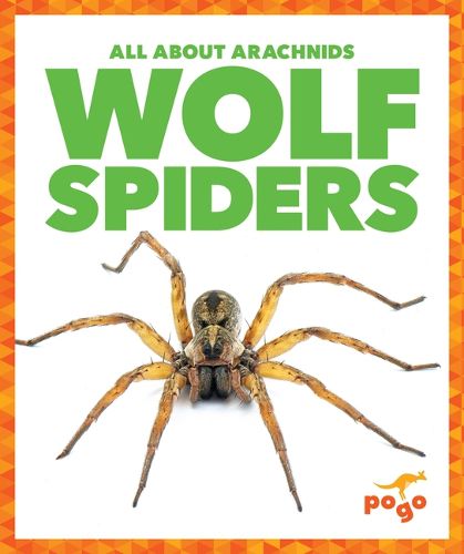 Cover image for Wolf Spiders