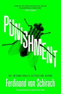 Cover image for Punishment: The gripping international bestseller