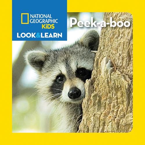 Cover image for National Geographic Kids Look And Learn Peek-A-Boo