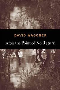 Cover image for After the Point of No Return