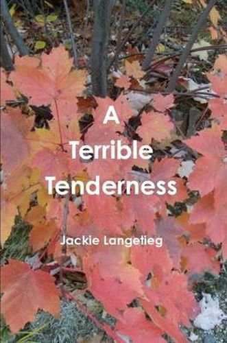 Cover image for A Terrible Tenderness