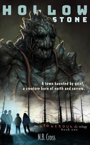 Cover image for Hollow Stone