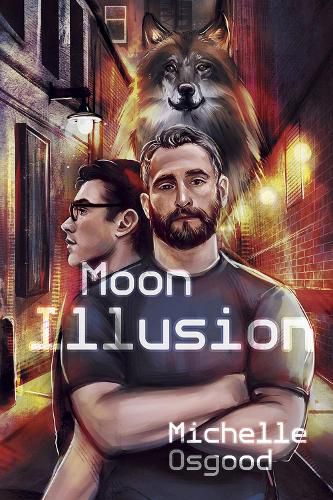 Cover image for Moon illusion