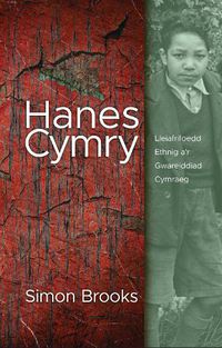 Cover image for Hanes Cymry: Lleiafrifoedd Ethnig a'r Gwareiddiad Cymraeg