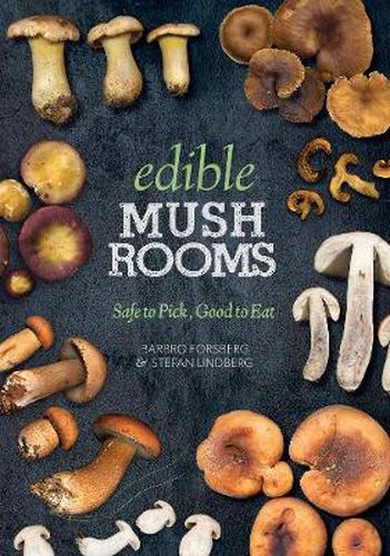 Cover image for Edible Mushrooms: Safe to Pick, Good to Eat