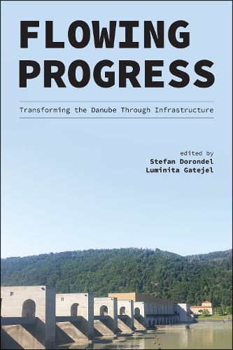 Cover image for Flowing Progress