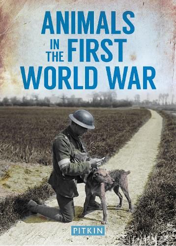 Cover image for Animals in the First World War