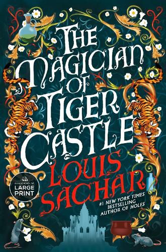 Cover image for The Magician of Tiger Castle