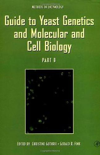 Cover image for Guide to Yeast Genetics and Molecular and Cell Biology, Part B