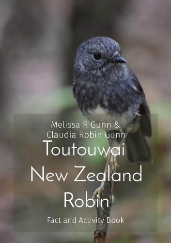 Cover image for Toutouwai New Zealand Robin: Fact & activity book