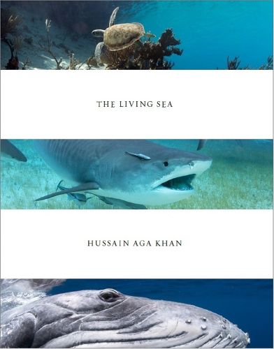 Cover image for Living Sea: Hussain Agha Khan