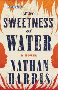 Cover image for The Sweetness of Water
