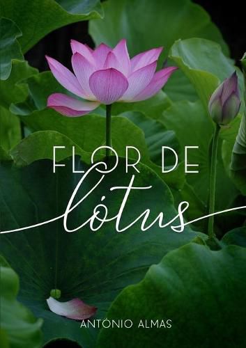 Cover image for Flor de Lotus