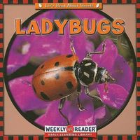 Cover image for Ladybugs