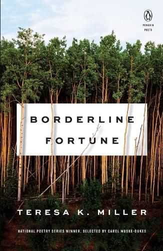 Cover image for Borderline Fortune