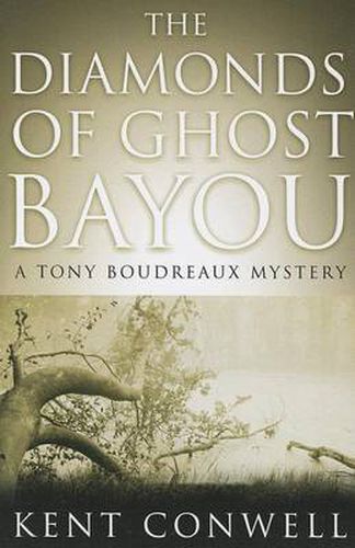 Cover image for The Diamonds of Ghost Bayou