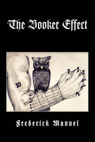 Cover image for The Booker Effect