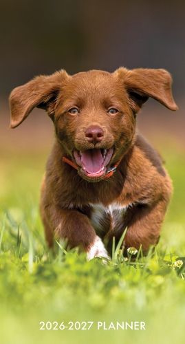 Cover image for Puppy Love 2-Year 2026-27 3.5 X 6.5 Monthly Pocket Planner