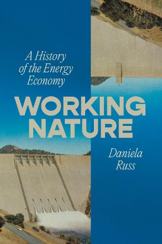 Cover image for Working Nature