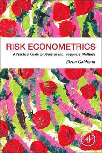 Cover image for Risk Econometrics: A Practical Guide to Bayesian and Frequentist Methods