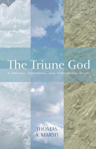 Cover image for The Triune God: A Biblical, Historical, and Theological Study