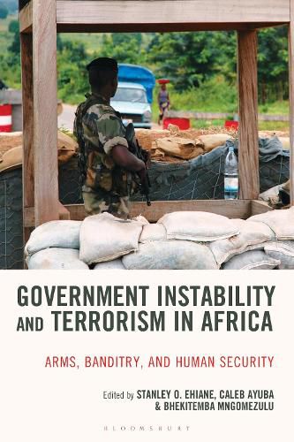 Cover image for Government Instability and Terrorism in Africa