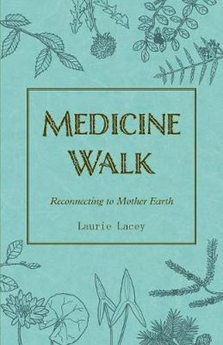 Cover image for Medicine Walk