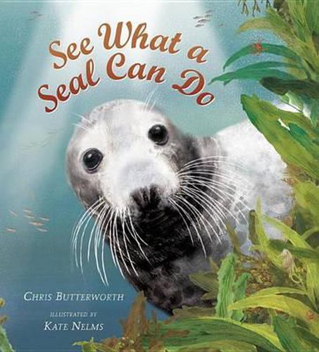 Cover image for See What a Seal Can Do