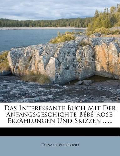Cover image for Das Interessante Buch Mit Der Anfangsgeschichte Bebe Rose