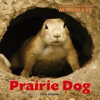 Cover image for Prairie Dog