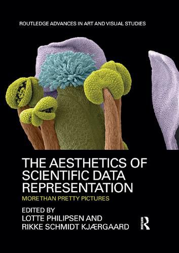 The Aesthetics of Scientific Data Representation: More than Pretty Pictures