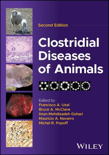 Cover image for Clostridial Diseases of Animals