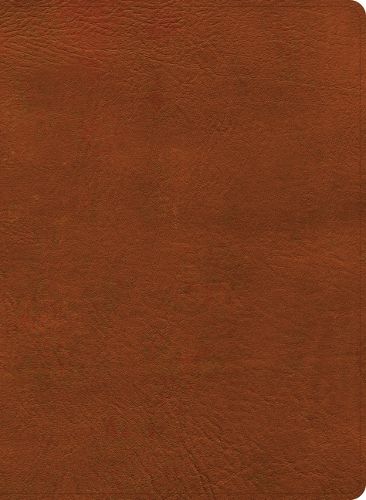 Cover image for NASB Study Bible, Burnt Sienna Leathertouch
