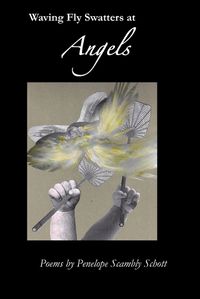 Cover image for Waving Fly Swatters at Angels