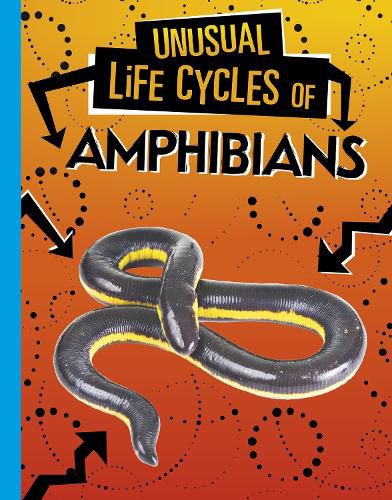 Cover image for Unusual Life Cycles of Amphibians
