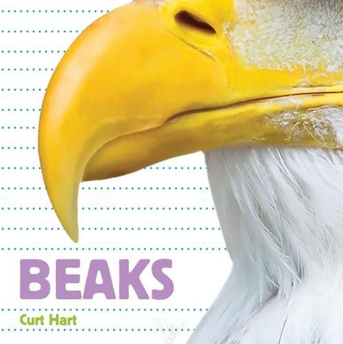 Cover image for Whose Is It? Beaks