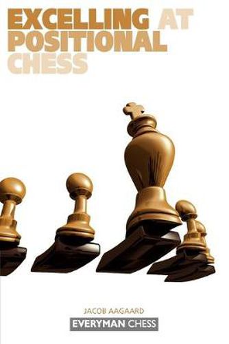 Cover image for Excelling at Positional Chess: