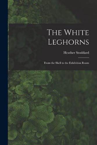 The White Leghorns: From the Shell to the Exhibition Room