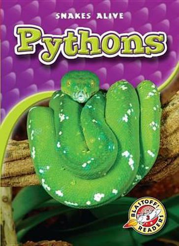 Pythons