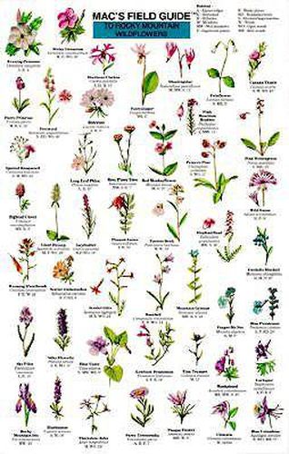 Cover image for Mac's Field Guides: Rocky Mountain Wildflowers
