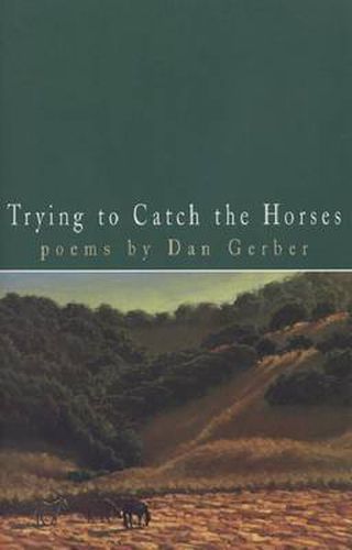 Cover image for Trying to Catch the Horses