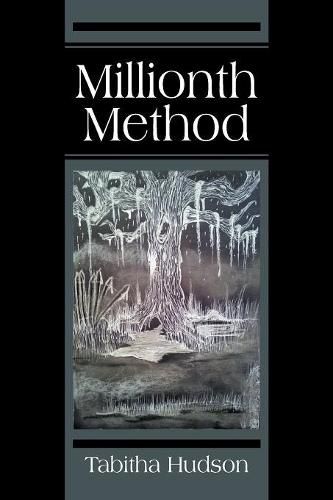 Cover image for Millionth Method