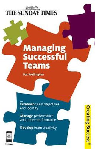 Cover image for Managing Successful Teams