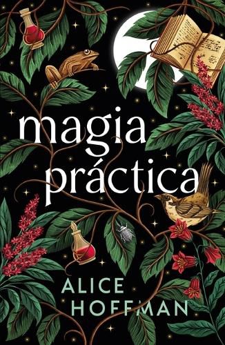 Cover image for Magia Practica