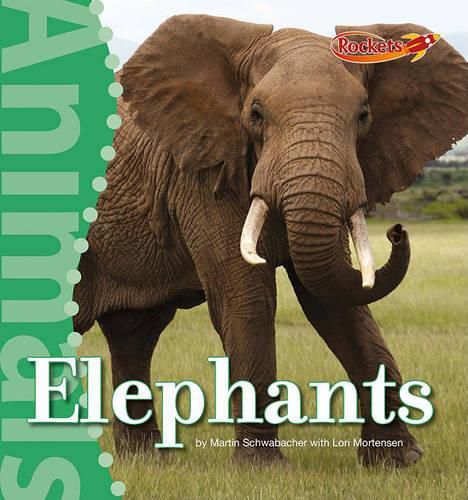 Cover image for Elephants