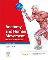 Cover image for Anatomy and Human Movement