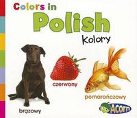 Cover image for Colors in Polish: Kolory (World Languages - Colors)