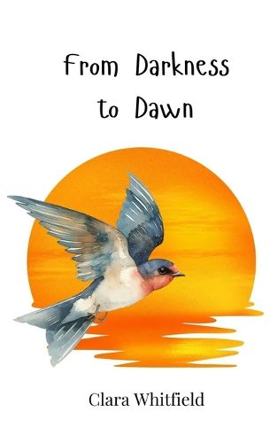 Cover image for From Darkness to Dawn