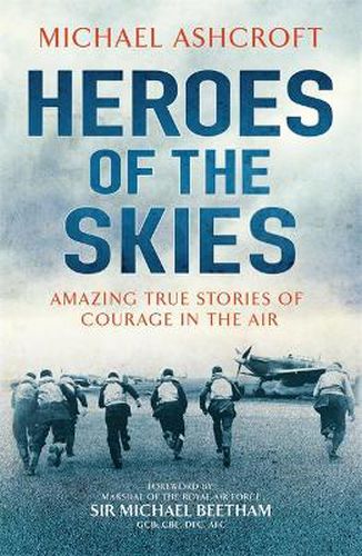 Cover image for Heroes of the Skies