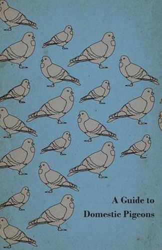 Cover image for A Guide to Domestic Pigeons - With Chapters on Doves, Training and Their Habits